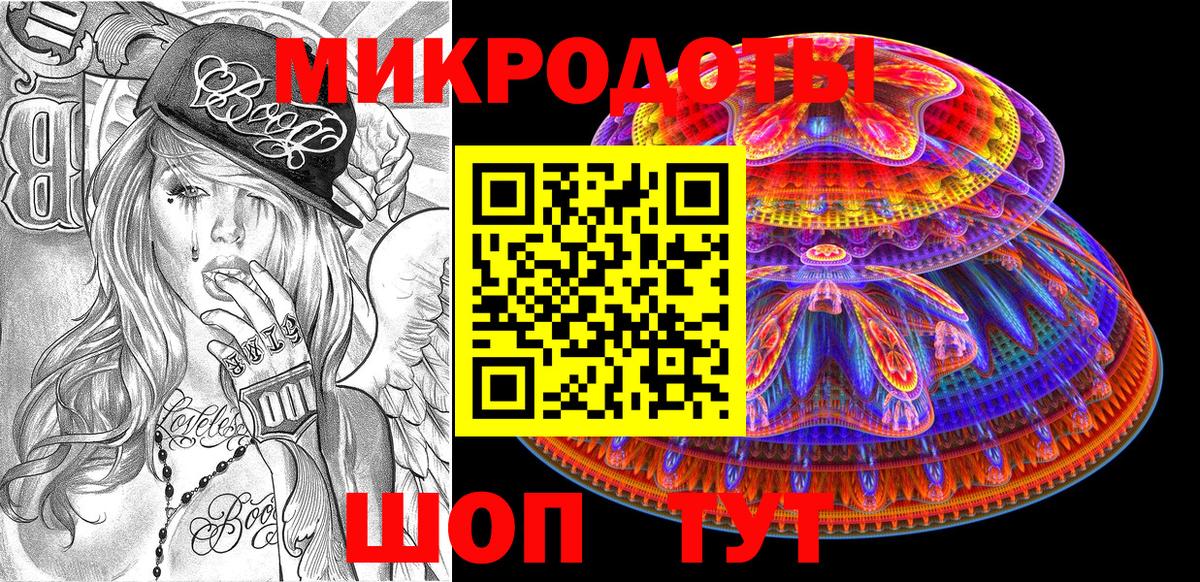 Псилоцибиновые грибы Psilocybe Кириши